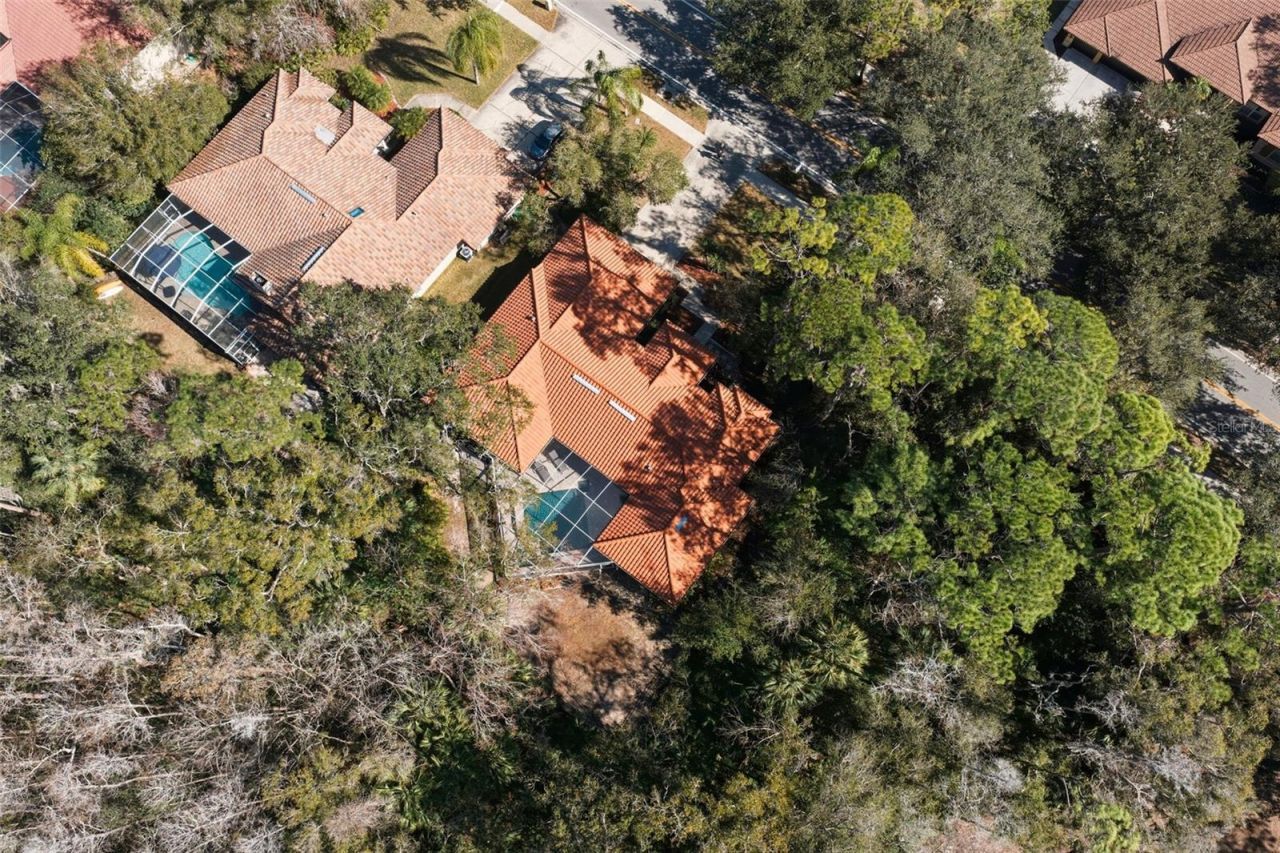 1362 E Lake Woodlands Parkway, Oldsmar, FL 34677 Photo