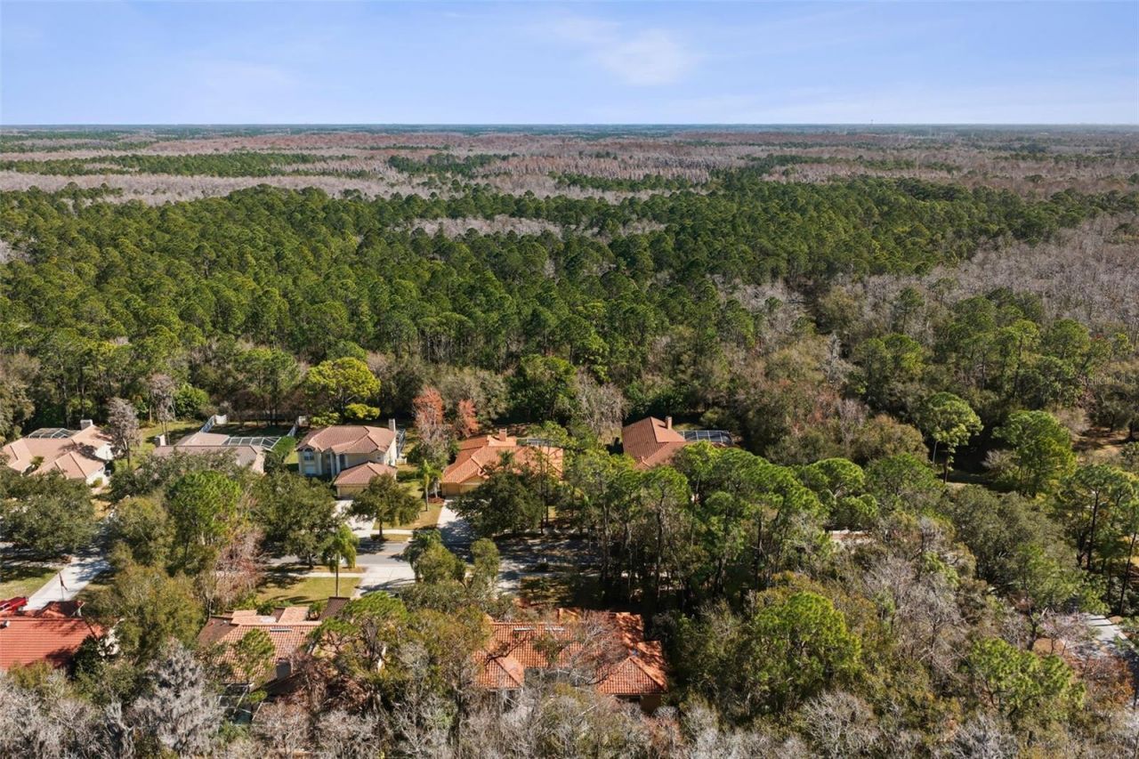 1362 E Lake Woodlands Parkway, Oldsmar, FL 34677 Photo