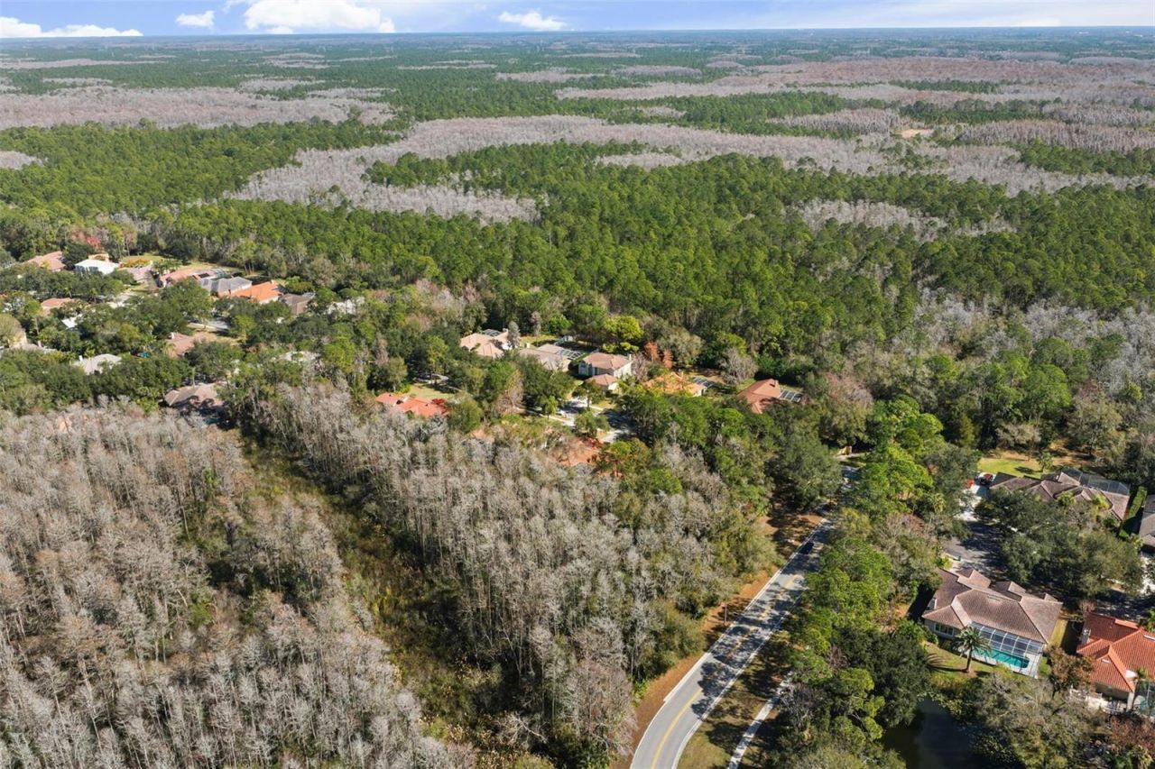 1362 E Lake Woodlands Parkway, Oldsmar, FL 34677 Photo