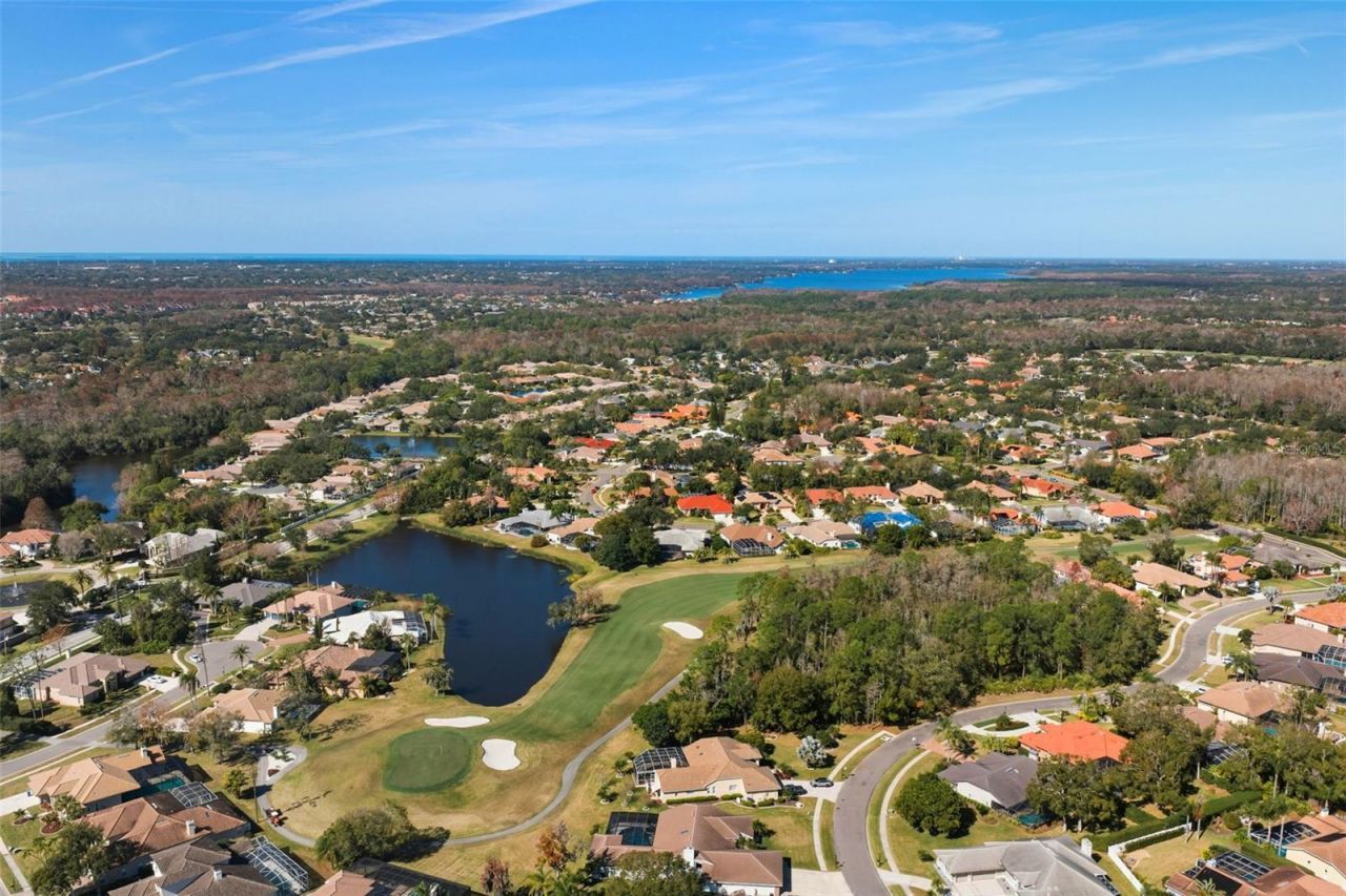 1362 E Lake Woodlands Parkway, Oldsmar, FL 34677 Photo