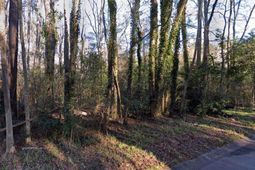 0 Terrace View Drive  photo 4