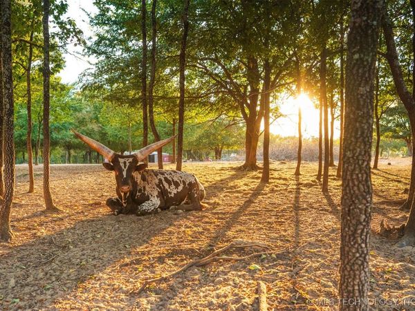 106082 N 3810 Street , Okemah, OK 74859