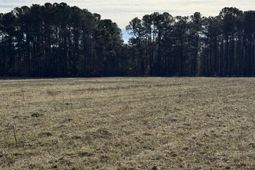 Lot 4 Johnson Shelley Rd. photo 4