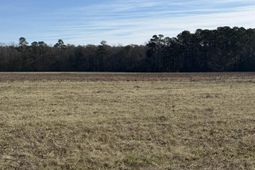 Lot 8 Johnson Shelley Rd. photo 4