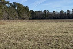 Lot 8 Johnson Shelley Rd. photo 4