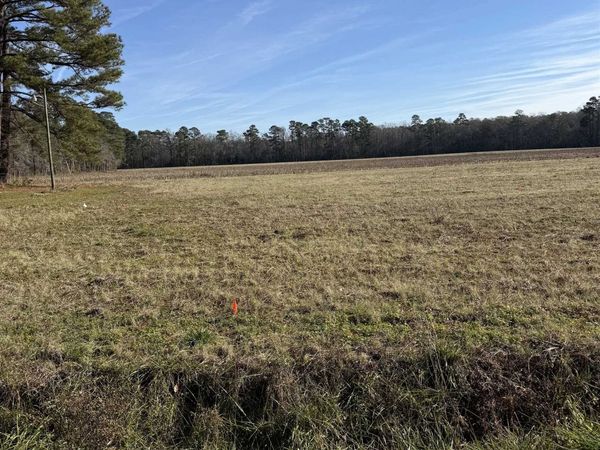 Lot 7 Johnson Shelley Rd., Conway, SC 29526