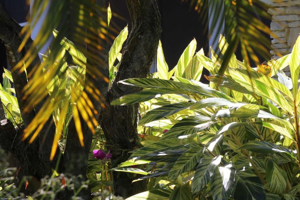 4595 125th Avenue S, Wellington, FL 33414 Photo