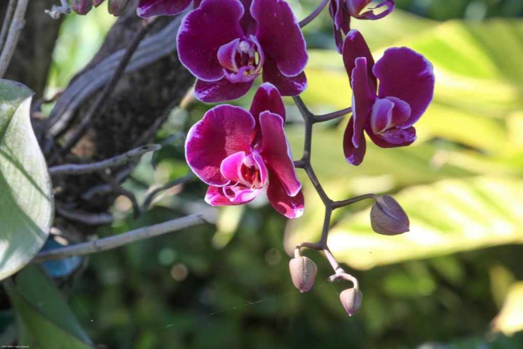 4595 125th Avenue S, Wellington, FL 33414 Photo