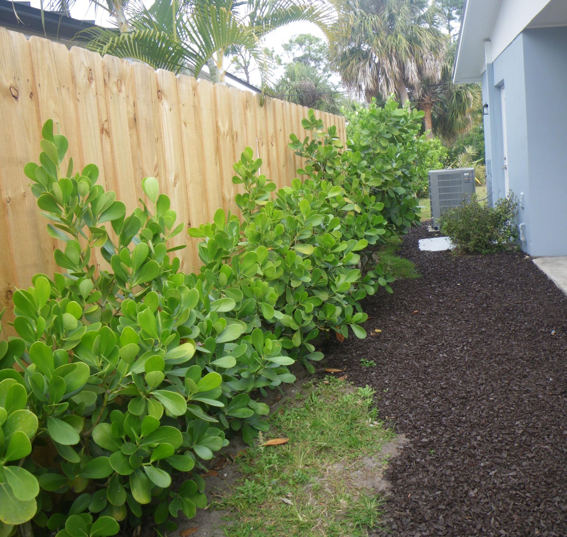 12292 Hillman Drive, Palm Beach Gardens, FL 33410 Photo