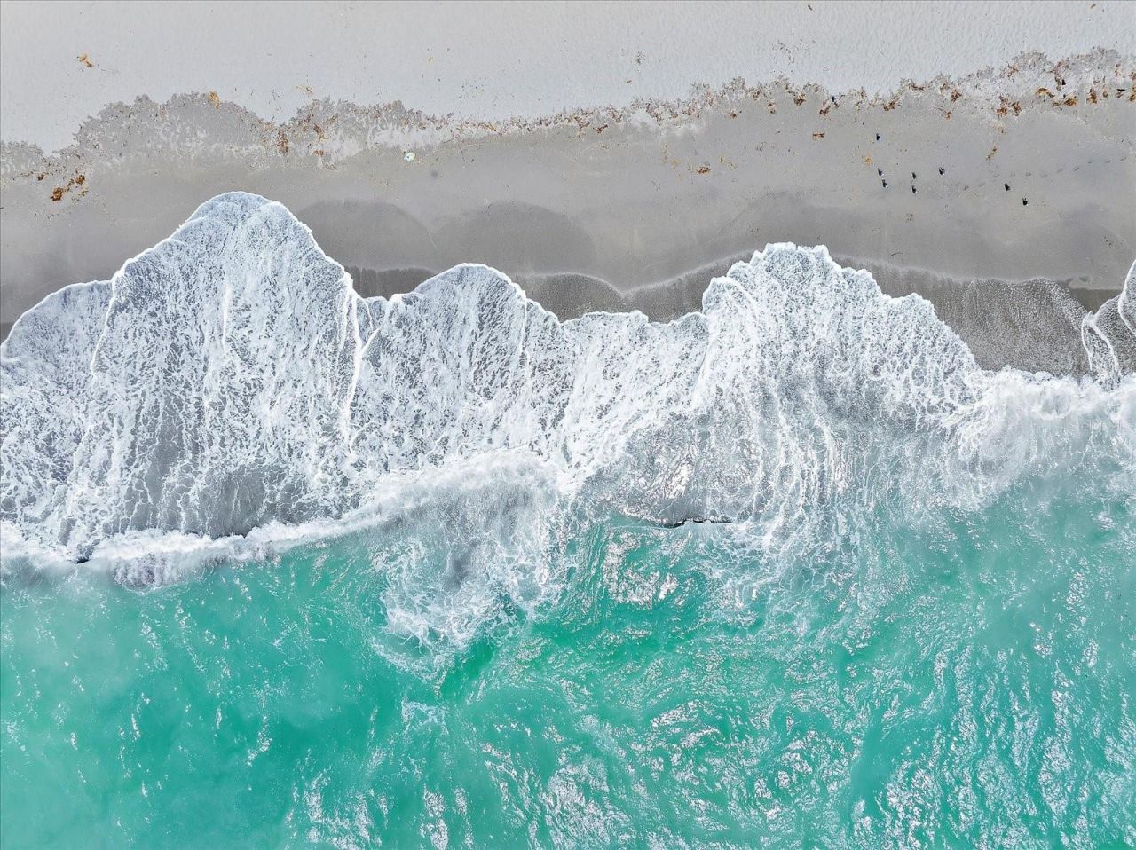 615 May Apple Way, Venice, FL 34293 Photo