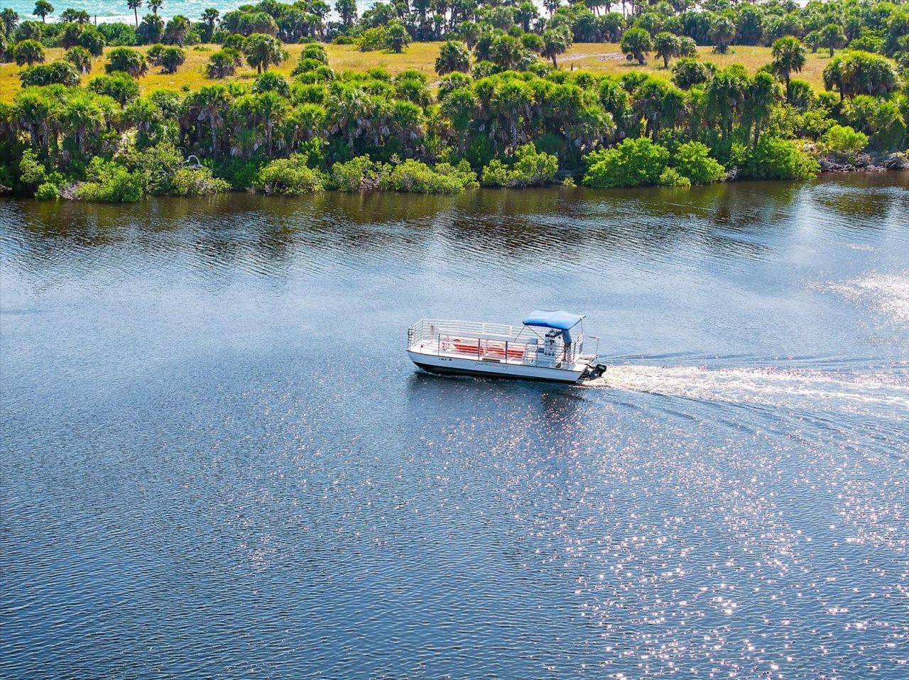 615 May Apple Way, Venice, FL 34293 Photo