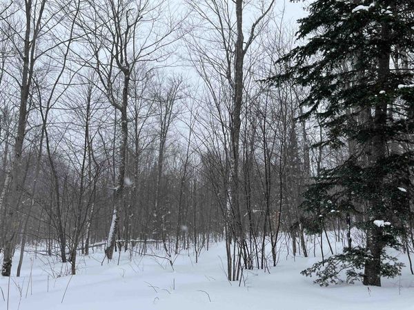 2924 New Duck Pond Road, Sheffield, VT 05866