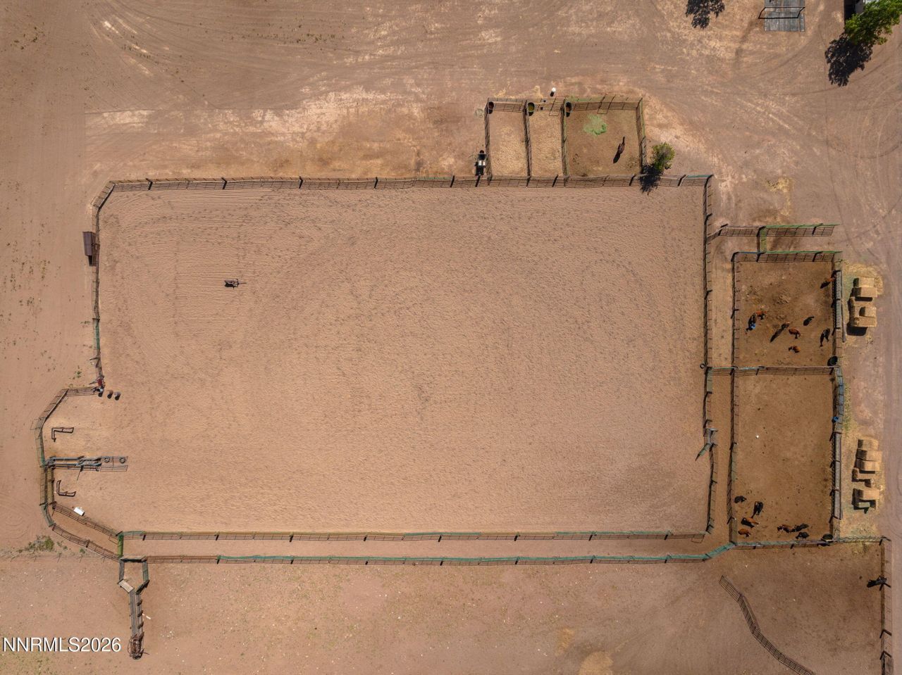 4800 Amy Road, Reno, NV 89510 Photo