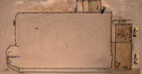 4800 Amy Road, Reno, NV 89510 Photo