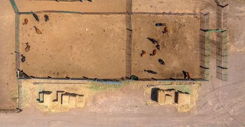 4800 Amy Road, Reno, NV 89510 Photo