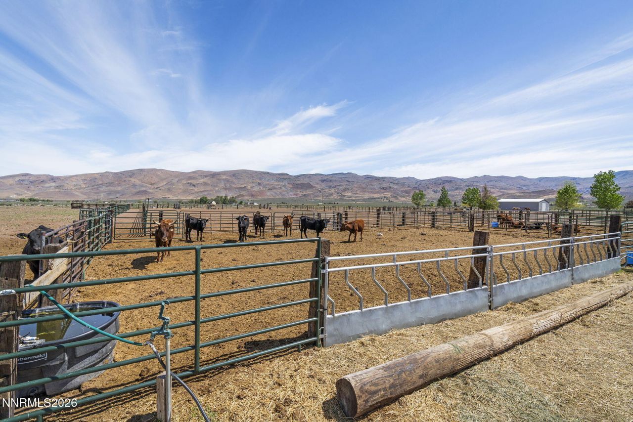 4800 Amy Road, Reno, NV 89510 Photo