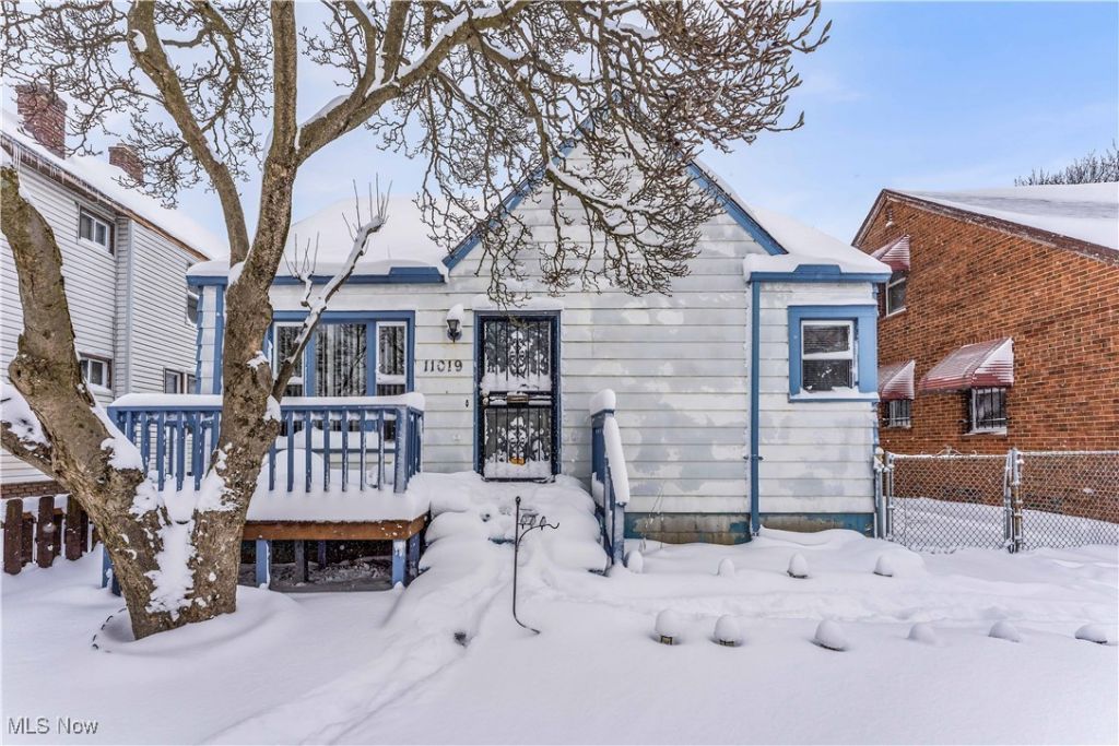 11019 Avon Avenue, Cleveland, OH 44105 Main Photo