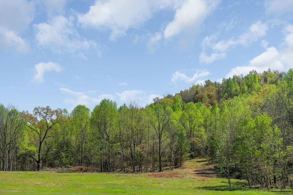 00 Big Springs Farm - Lot 9, Monroe, TN 38573 Main Photo