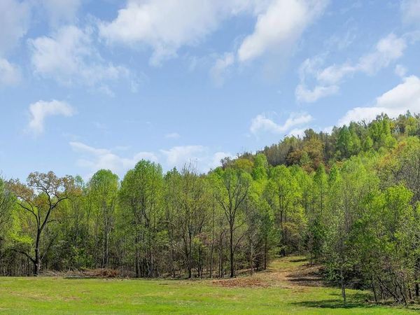 00 Big Springs Farm - Lot 9, Monroe, TN 38573