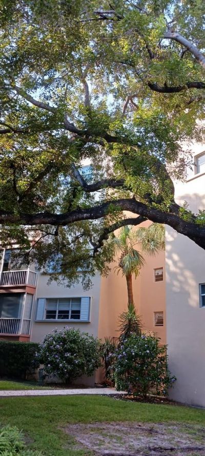 6731 Cypress Rd, Unit 310, Plantation, FL 33317 Photo