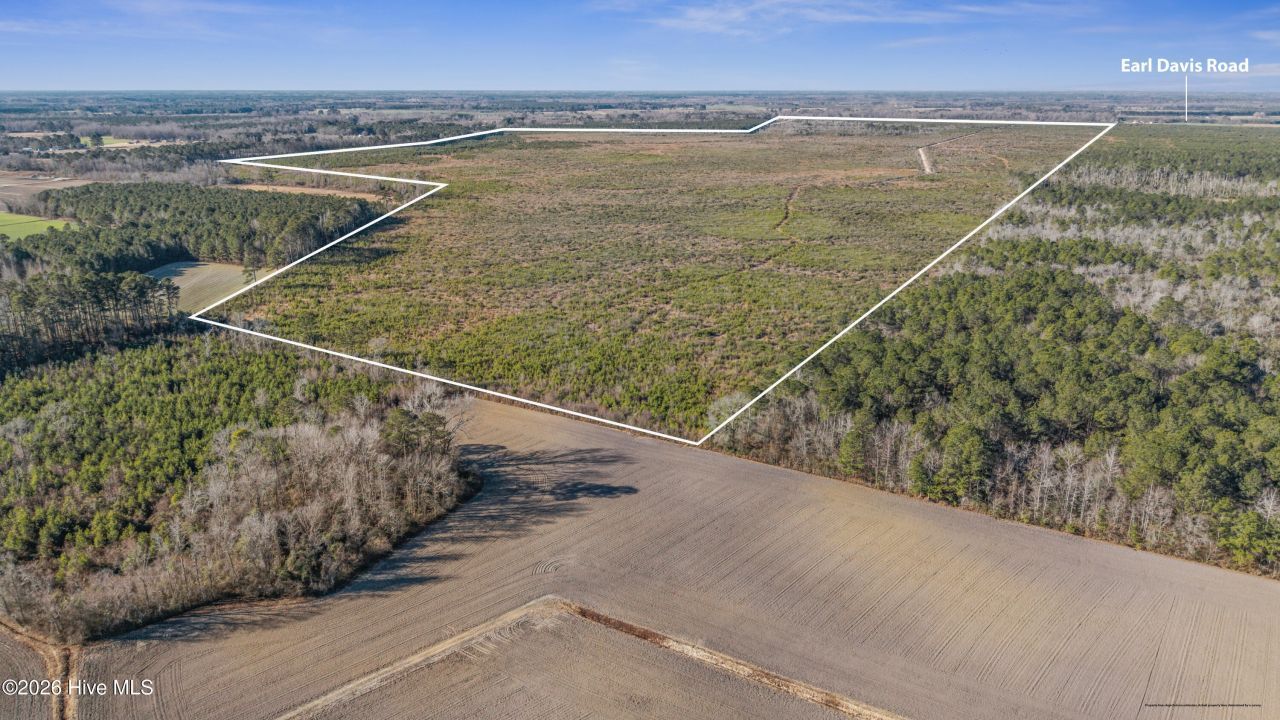 700 Acres Earl Davis Road, Rose Hill, NC 28458 Main Photo