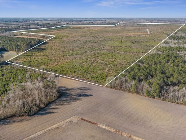 700 Acres Earl Davis Road, Rose Hill, NC 28458