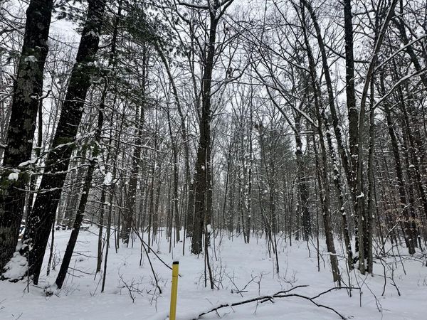 00 Saux Lane, Big Rapids, MI 49307