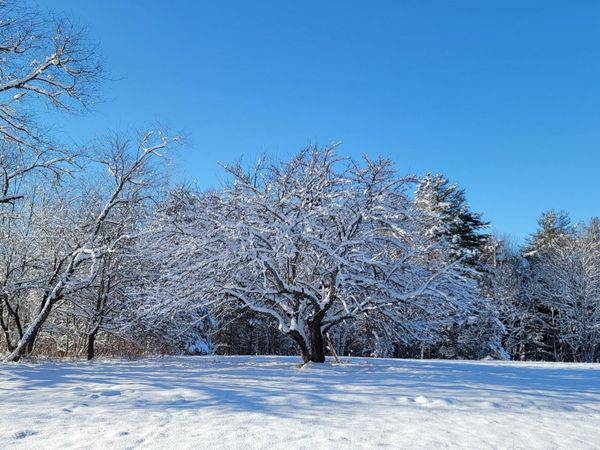 4-8 Macomber Mill Road, Eastbrook, ME 04634