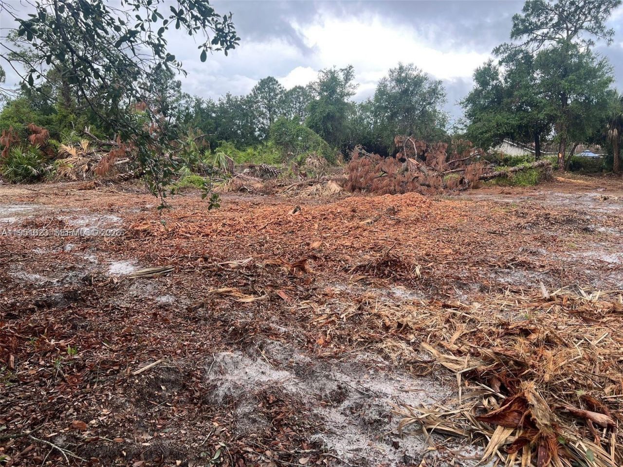 17 Rosevelt Ave , Lehigh Acres, FL 33936 Photo