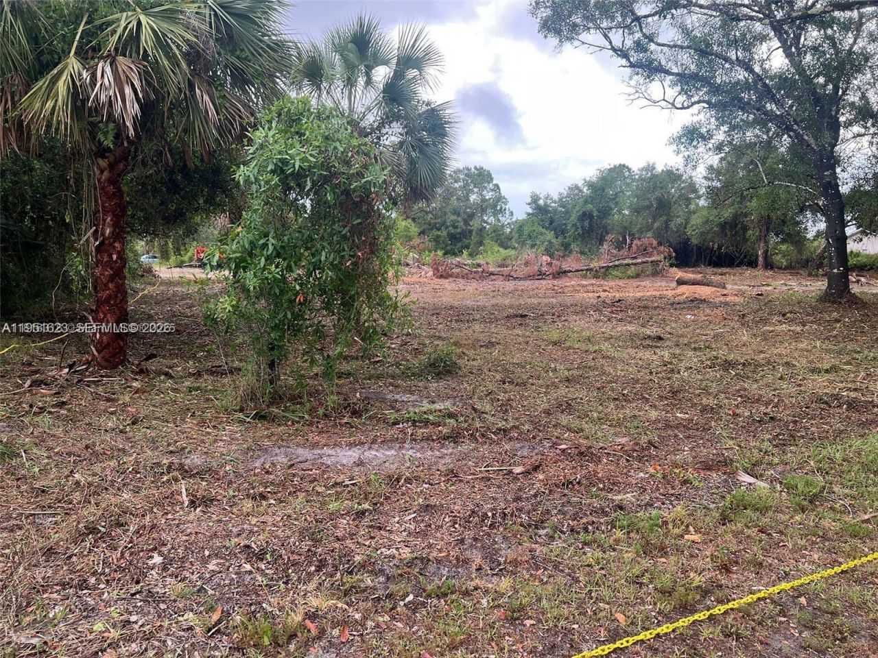 17 Rosevelt Ave , Lehigh Acres, FL 33936 Photo