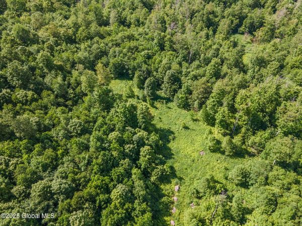 L4 Havrish Road, Jefferson, NY 12167