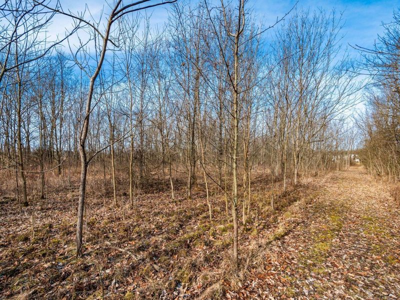 0 Roberts Rd. Road, Hilliard, OH 43026 Photo 29