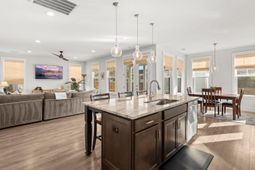 203 Bright Leaf Loop photo 4