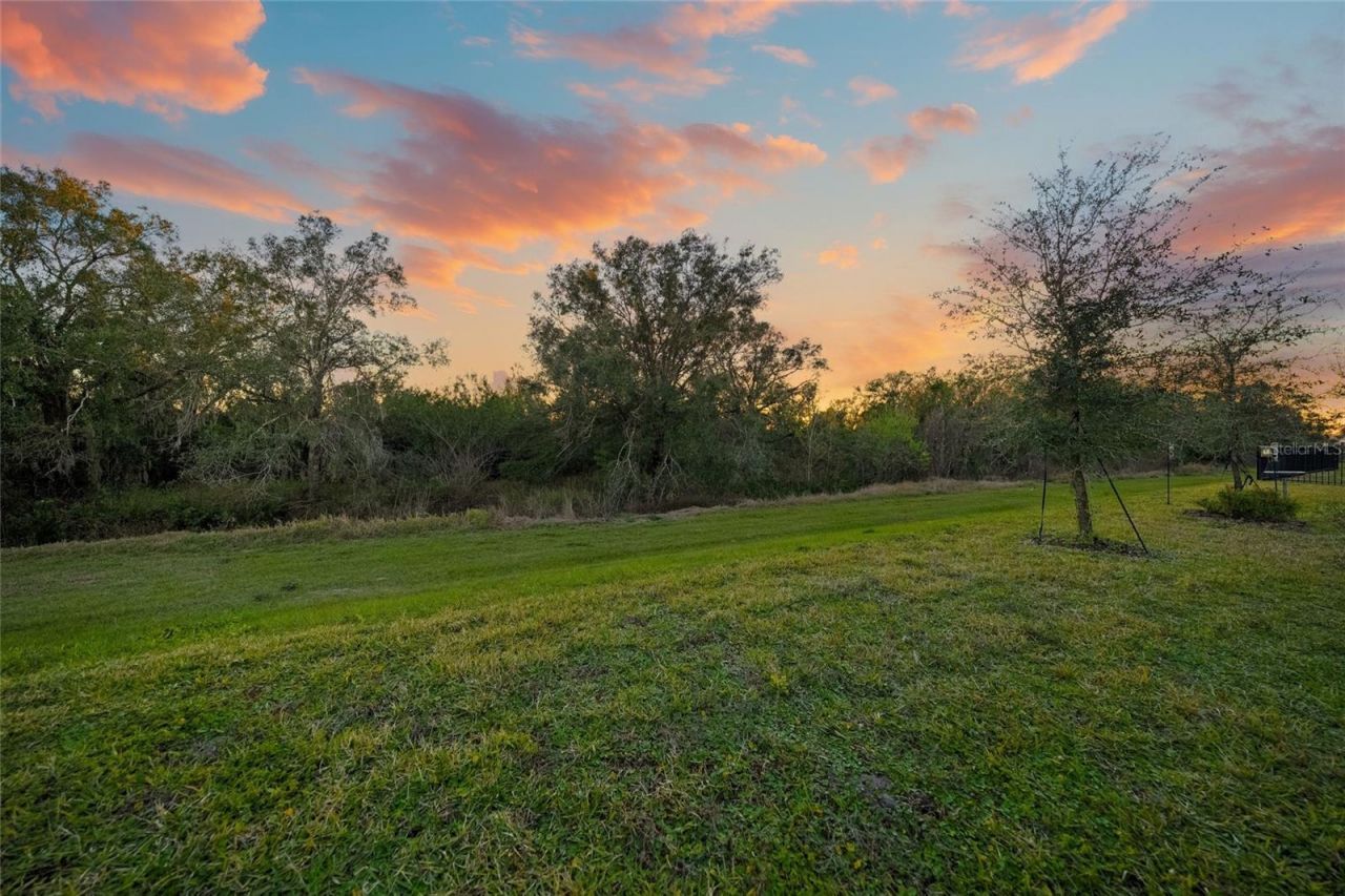 17571 Cantarina Cove, Bradenton, FL 34211 Photo