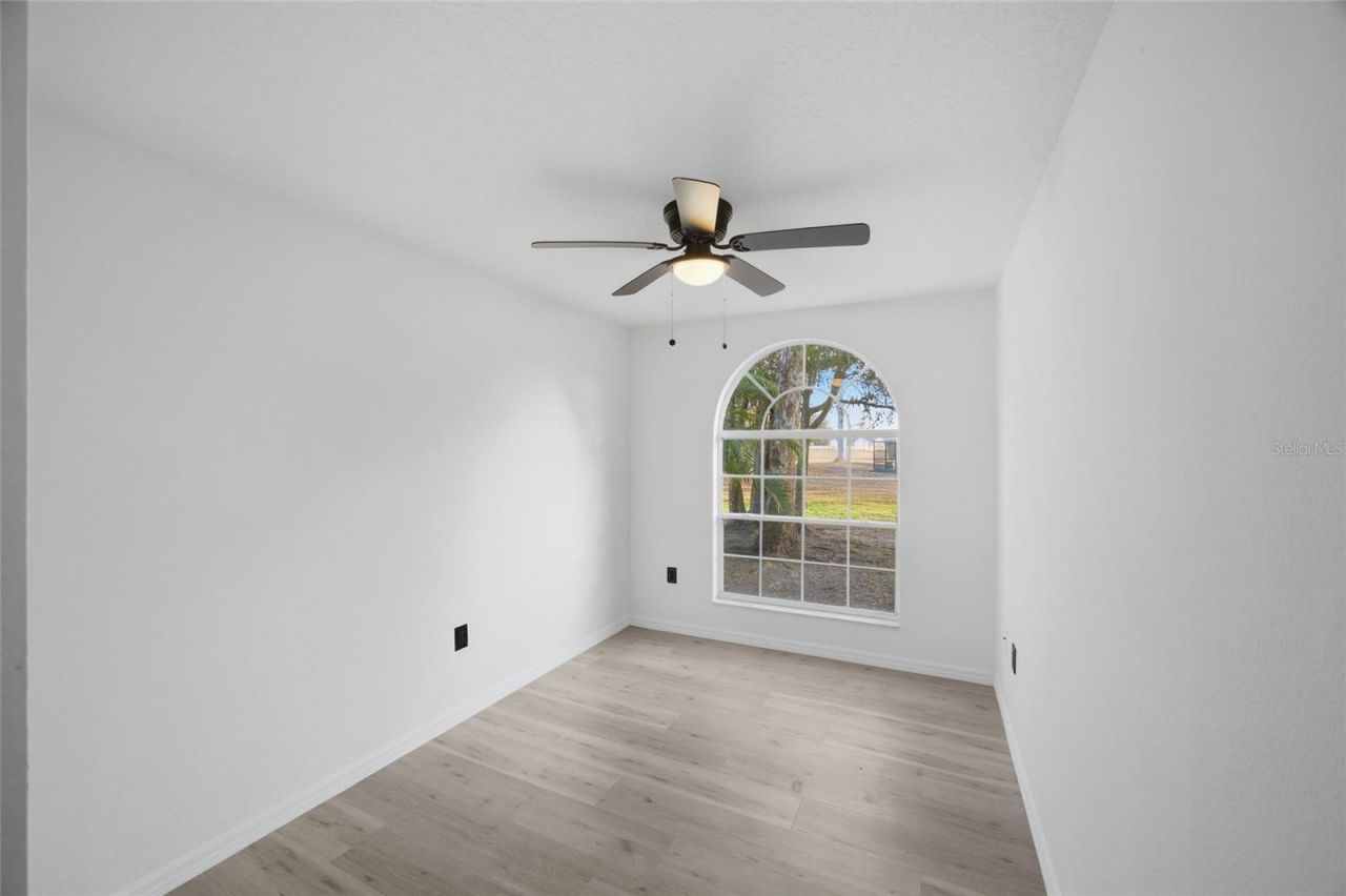 6302 Silver Oaks Drive, Zephyrhills, FL 33542 Photo