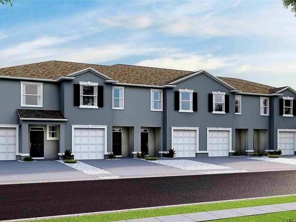 33066 TULIP PETAL LANE, WESLEY CHAPEL, FL 33545