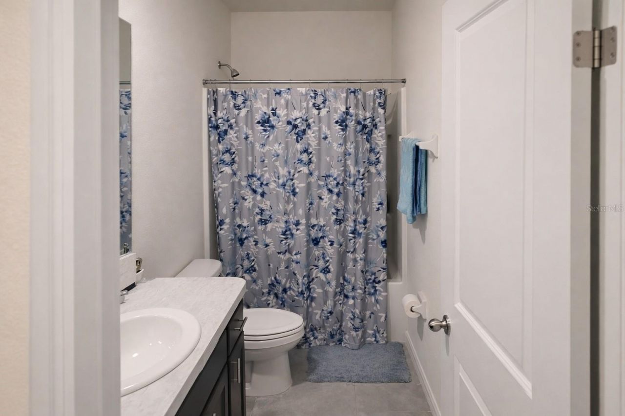 33066 Tulip Petal Lane, Wesley Chapel, FL 33545 Photo
