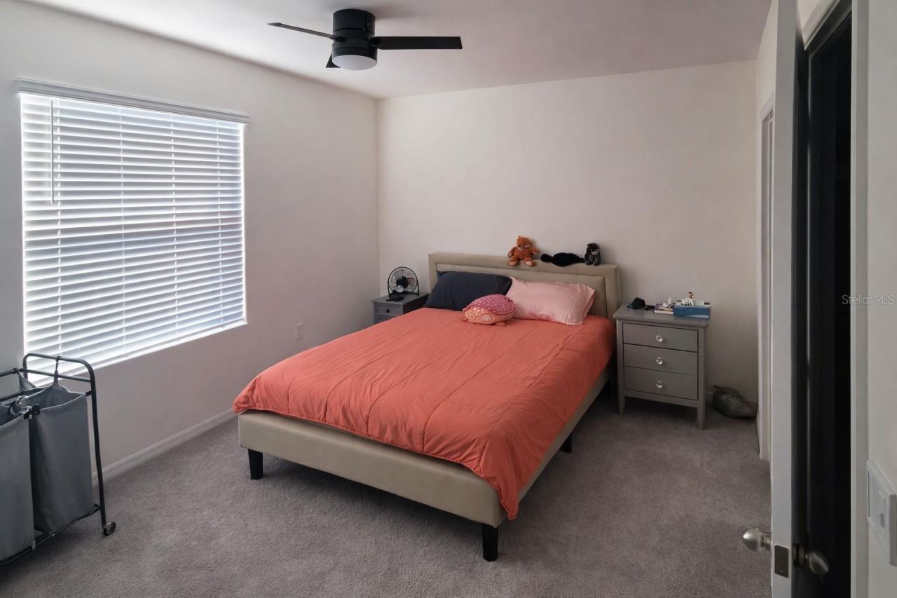 33066 Tulip Petal Lane, Wesley Chapel, FL 33545 Photo