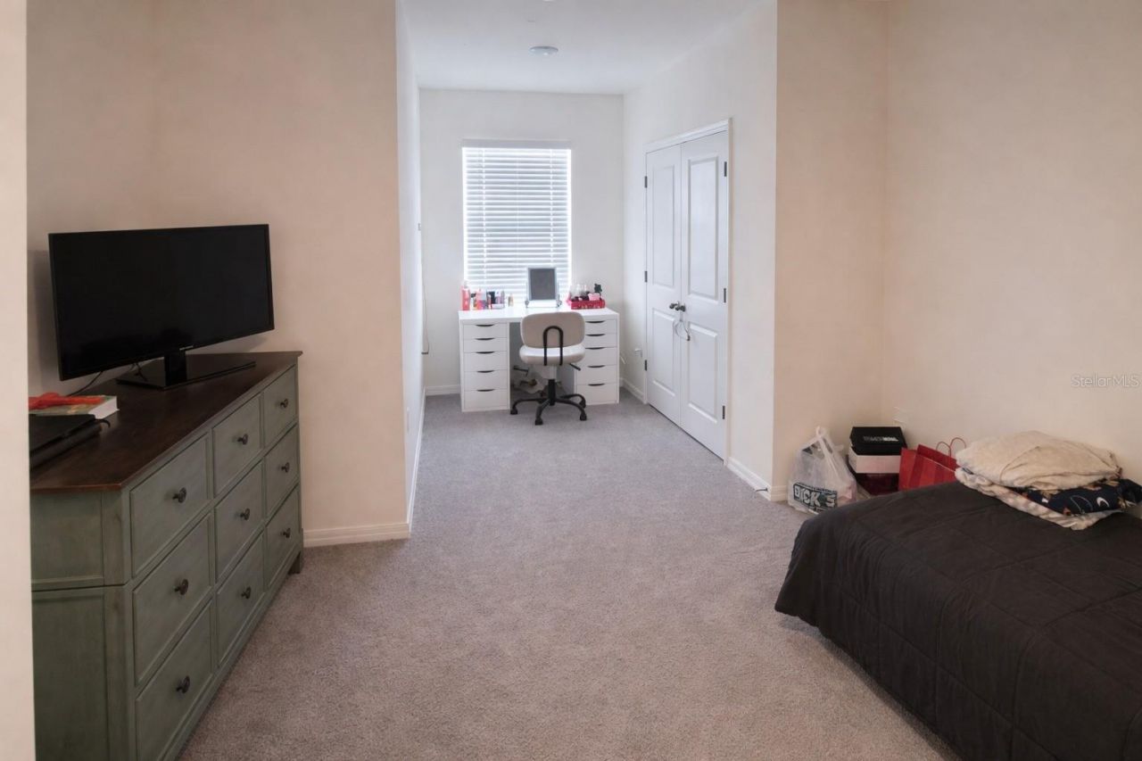 33066 Tulip Petal Lane, Wesley Chapel, FL 33545 Photo