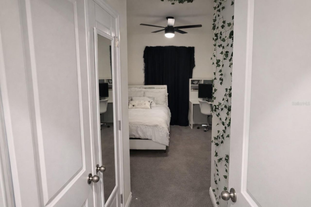 33066 Tulip Petal Lane, Wesley Chapel, FL 33545 Photo