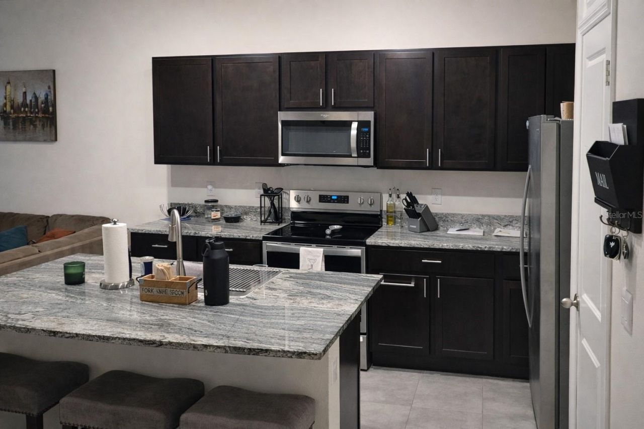 33066 Tulip Petal Lane, Wesley Chapel, FL 33545 Photo