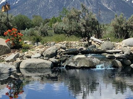 1238 Centerville Lane, Gardnerville, NV 89460 Photo