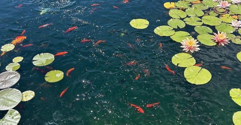 1238 Centerville Lane, Gardnerville, NV 89460 Photo