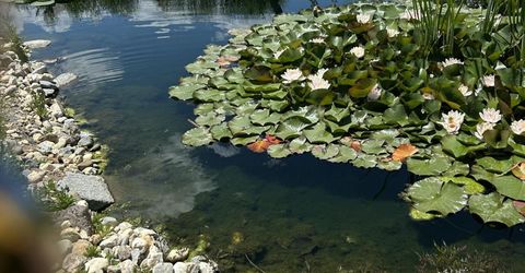 1238 Centerville Lane, Gardnerville, NV 89460 Photo