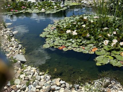 1238 Centerville Lane, Gardnerville, NV 89460 Photo