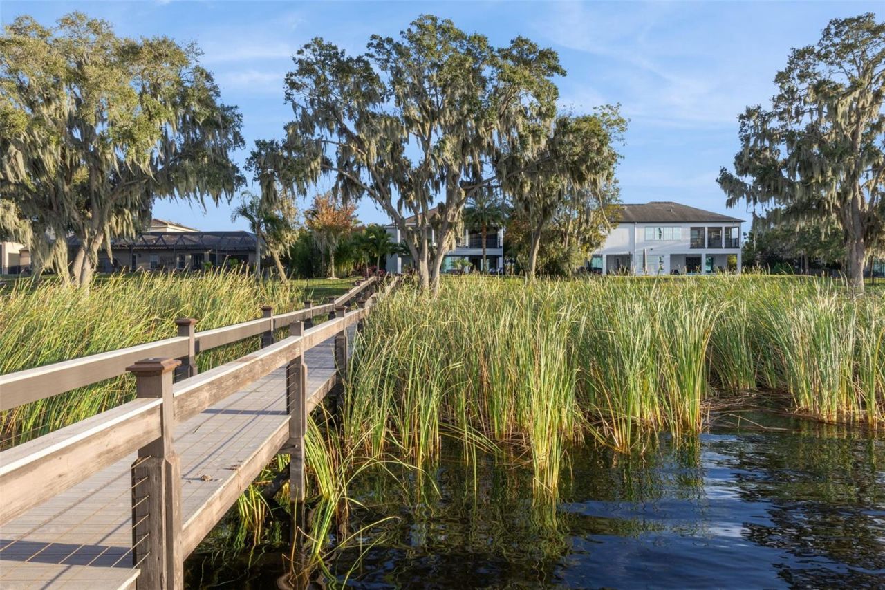 16038 Johns Lake Overlook Drive, Winter Garden, FL 34787 Photo