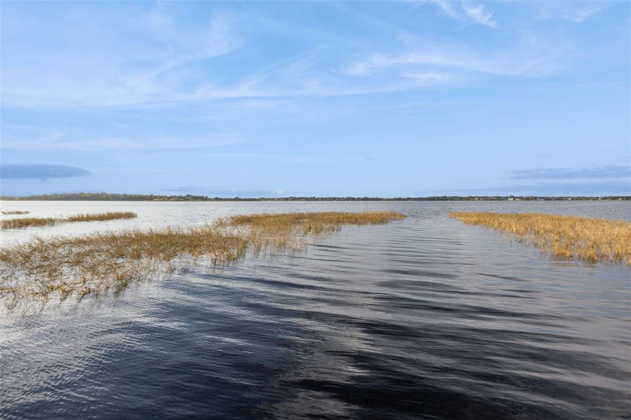 16038 Johns Lake Overlook Drive, Winter Garden, FL 34787 Photo