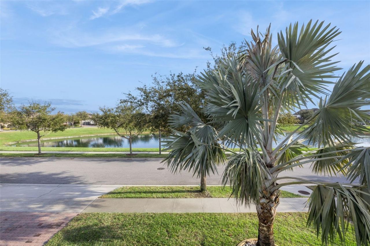 16038 Johns Lake Overlook Drive, Winter Garden, FL 34787 Photo