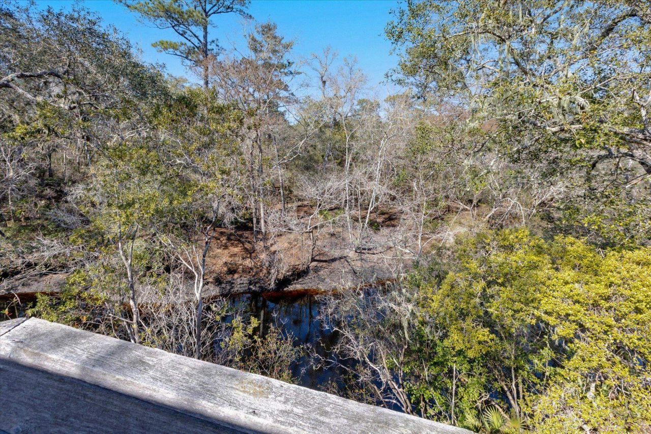 14 Lizard Lane, Sopchoppy, FL 32358 Photo