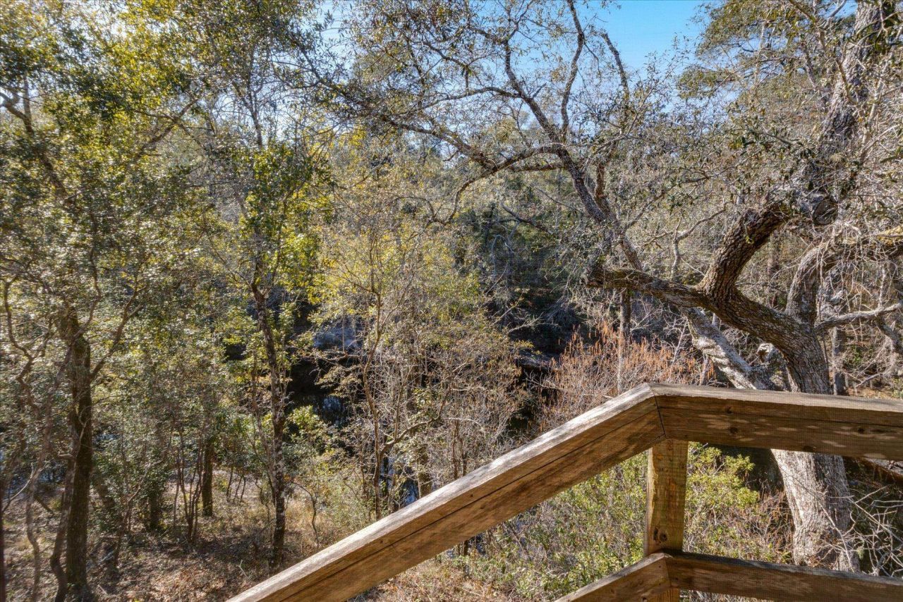 14 Lizard Lane, Sopchoppy, FL 32358 Photo